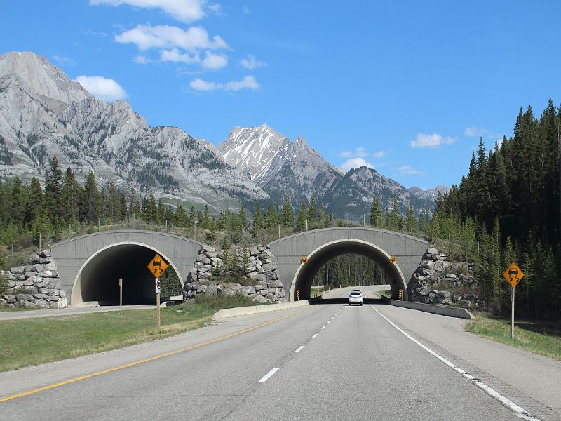 The project includes three sections: North project, South project and Bow River Bridge. Credit: Coolcaesar.